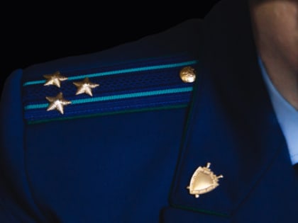 Прокуратура нашла нарушения в сызранской ветклинике