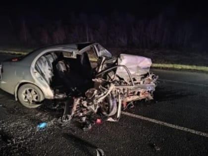 В ДТП в Сызранском районе погибла пассажирка