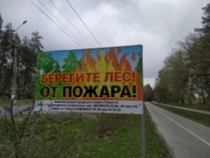 Ограничено пребывание граждан на территории лесов