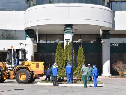 В ГБУЗ СОКОД завершился месячник по благоустройству