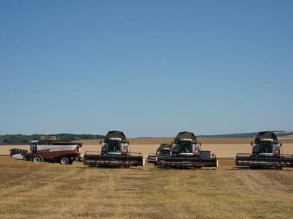 Аграрии Самарской области убрали уже 44% зерновых и зернобобовых культур