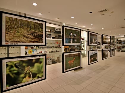 В самарском Клубе Третьяковки пройдет лекция об образе пути в искусстве