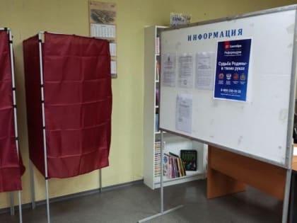 В Самарской области завершился третий день голосования на референдуме по Донбассу