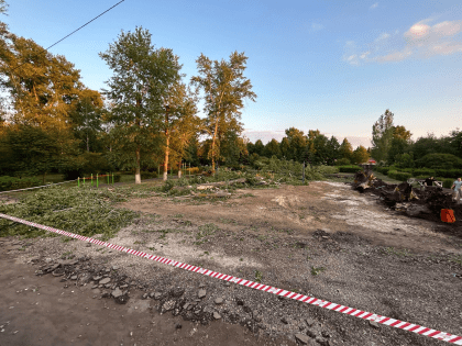 В Центральном парке Тольятти построят экстрим-площадку