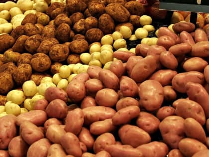 Врач-диетолог назвала самый полезный способ приготовления картофеля