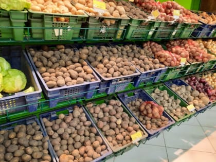 Цены на лук и морковь стали кусаться сильнее, а огурцы перестают быть «золотыми»