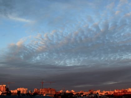 В Самаре прошел финал городского конкурса юных инспекторов дорожного движения