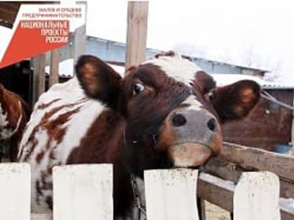 Продукция раскупается моментально