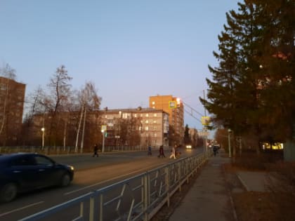 Сызрань готовится к масштабной крысиной травле в местных домах культуры