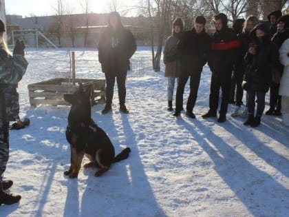 Я б в полицию пошел