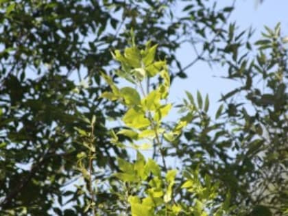 Названы продукты для восстановления кожи после солнца