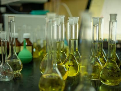 В СамГМУ в рамках импортозамещения разрабатывают противотревожный препарат для перенесших постковидный синдром