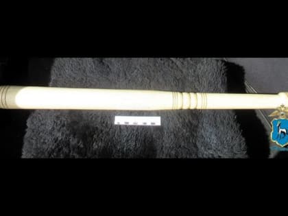 В Тольятти таксист избил пьяного клиента битой