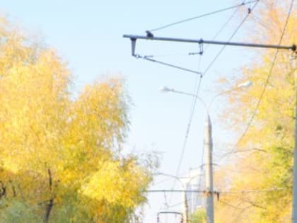 В Самаре хотят переименовать остановку на Ново-Садовой