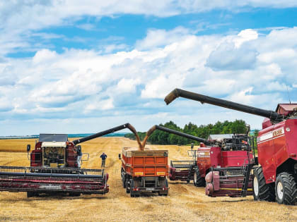 ПШЕНИЦУ ПРЕВРАТЯТ В СУБСИДИИ