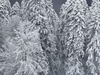 Синоптики рассказали, когда в Самару придёт потепление до 0 градусов