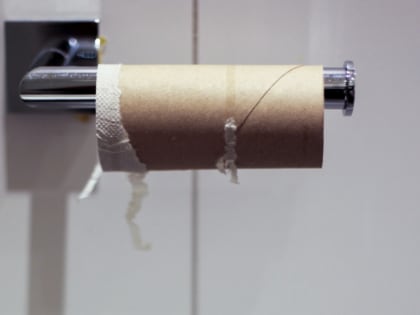 Сызранский депутат потребовала переименовать туалетную бумагу