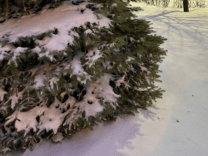 Россиянам рассказали, как избежать обморожения