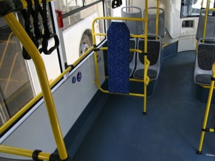 На маршруты Тольятти выйдут 14 новых автобусов