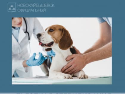 Льготная стерилизация домашних животных