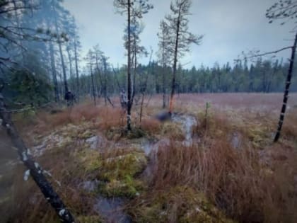 Пациент больницы насмерть замерз на болоте