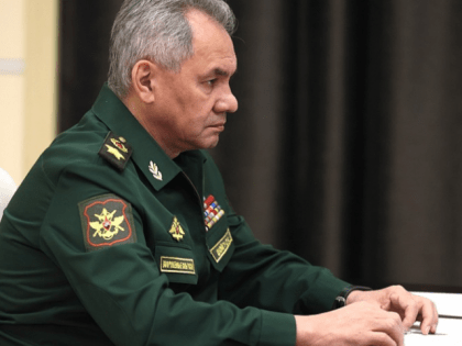 Ожидает ли россиян в будущем еще одна мобилизация: Сергей Шойгу дал ответ