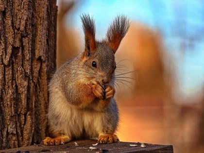 Погода в Самарской области побила 28-летний температурный рекорд