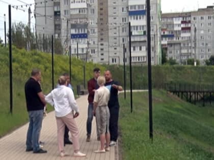 В Сызрани придумали, что делать с засохшими на новой набережной деревьями