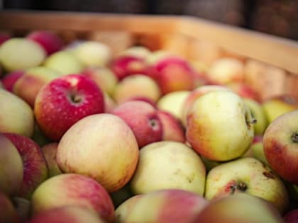 Медики назвали методы очищения организма от вредных веществ