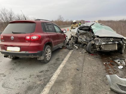 В Самарской области на трассе погибли два человека