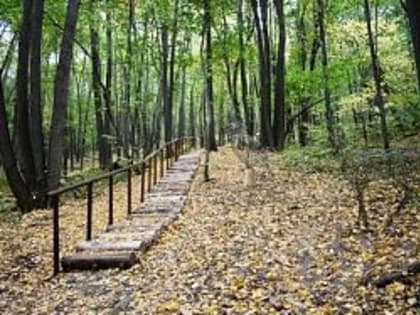 Экотропа доведет до святого источника