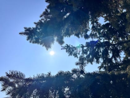 Народные приметы на 21 февраля: кому Захаров день принесет достаток и удачу, а кому изуродует внешность на всю жизнь