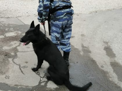 Бдительная уборщица подняла тревогу в торговом центре Сызрани