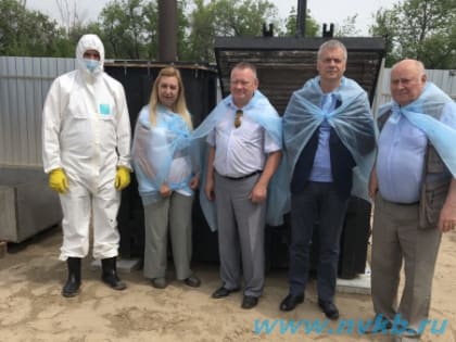 Осторожно, африканская чума свиней!