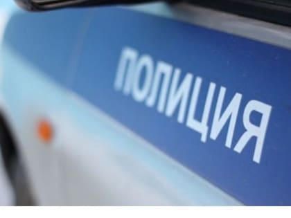 Жительница Тольятти поблагодарила полицейских за помощь в разрешении конфликта