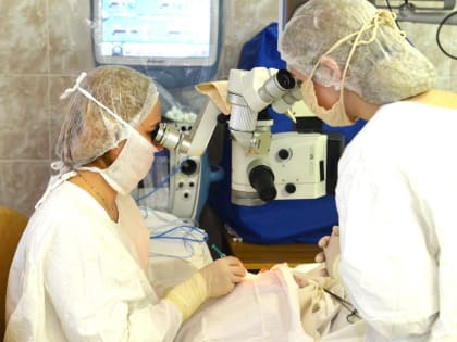 Сложная операция позади! В Самаре врачи удалили 10-сантиметровую ветку из глазницы пациента