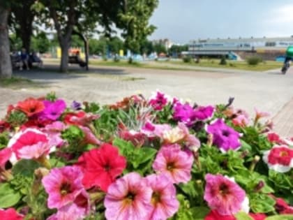 Мониторинг качества атмосферного воздуха