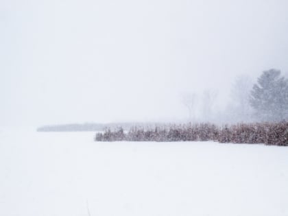 Синоптик назвала дату выпадения в Сызрани первого снега