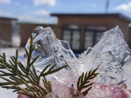 В Самарской области переписан рекорд аномальной мартовской жары в ХХI веке