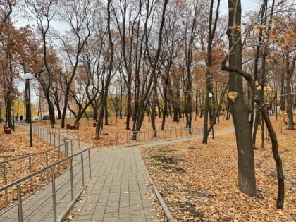 Самарскую область ждет теплая и безветренная погода