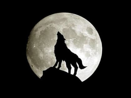 Ночью 18 января над Землей взойдет Волчья Луна