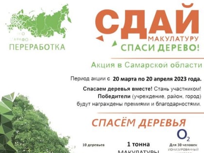 Сдай макулатуру – спаси дерево!