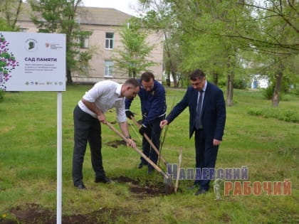ДЕРЕВО КАК СИМВОЛ БЛАГОДАРНОСТИ