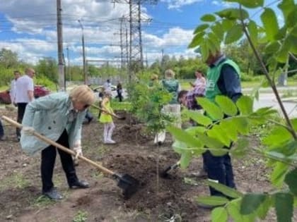 В Тольятти проходит озеленительная акция