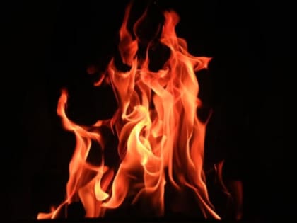 Горящую Гранту под Сызранью тушили десять человек