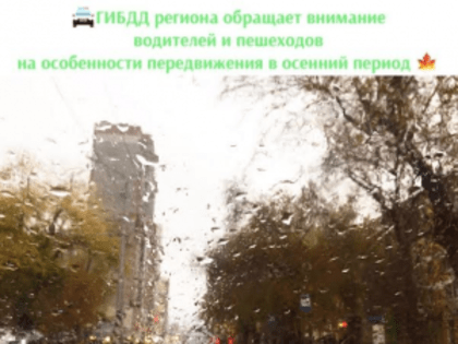 Самарских водителей и пешеходов просят учитывать особенности передвижения в осенний период