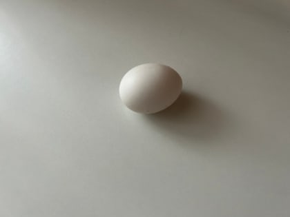 В Самарской области могут появиться яйца из Азербайджана