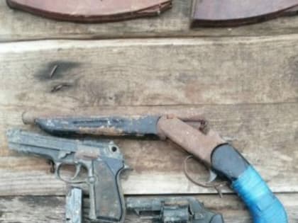 У жителя Шигонского района нашли пистолеты, обрез и патроны