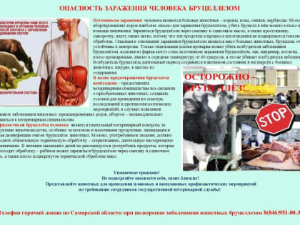Бруцеллёз – инфекционное заболевание общее для человека и животных