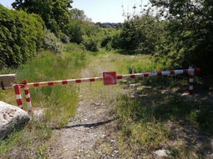 Ни ногой: людям запретили ходить в лес за ягодами и грибами